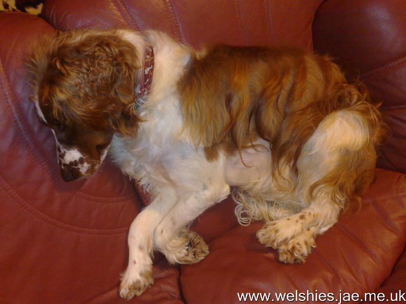 2010-09-26 03.jpg - Which way is up?